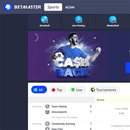 Betmaster Képernyőkép 3